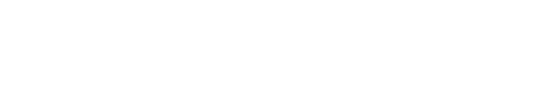 FordNet AI